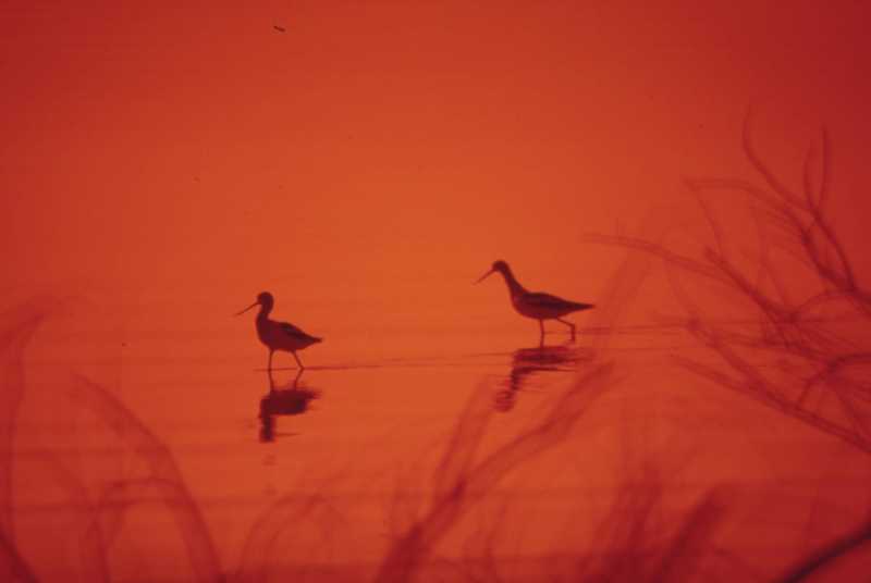 The Art of Connection